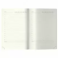   Недатированный Ежедневник Berlingo Glyph  иск. кожа  А5  136 л (Арт. - UD2_01S11)