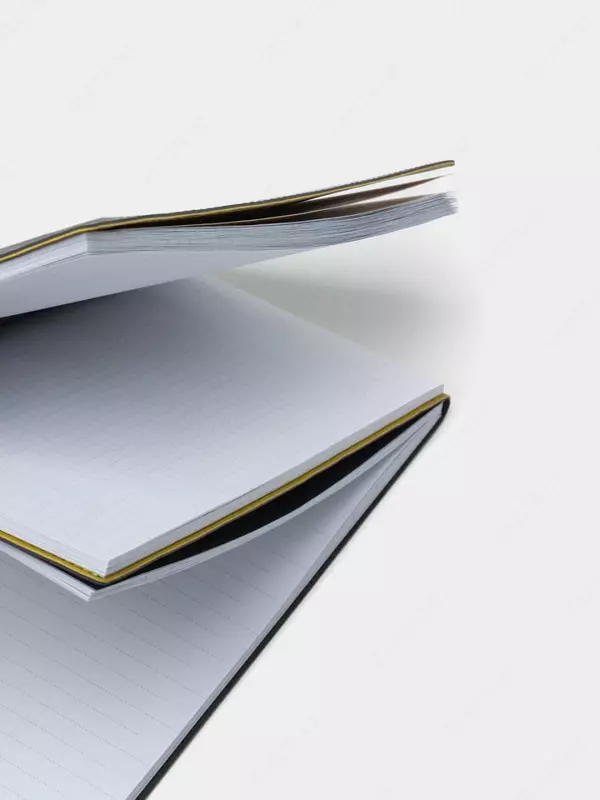  Записная книжка два блока Феникс+ Escalada  А5 211 х 146 мм  320 стр. (Арт. - 47488) - 