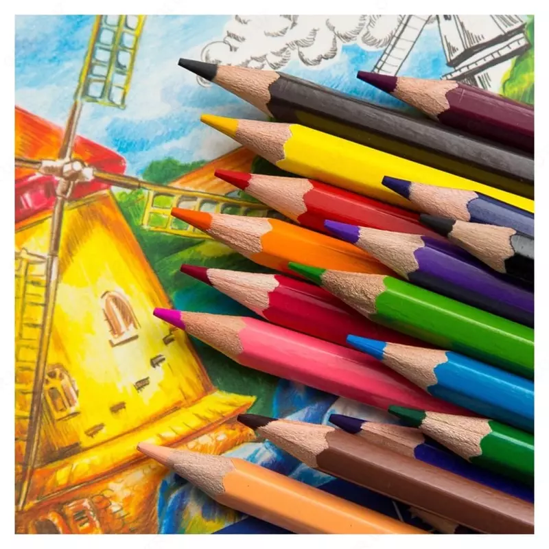   Rangli qalamlar toplami Gamma Classic  24 ta rang  yogoch  karton paket. (m. - 050918_04)