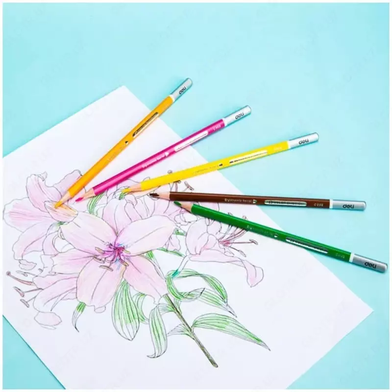   Набор цветных карандашей Deli Color Emotion (Маска NEW)  24 цв  дерево  металлич. уп. (Арт. - 00225-EC)