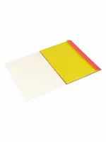   Немелованный цветной картон ArtSpace Львы  А4  16 л./8 цв. (Арт. - Нкн16-8_6961)