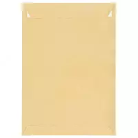 Почтовый крафтовый конверт ALTA С4  229 х 324 мм  90г/м2  отрывная лента (Арт. - 161150) Коричневый