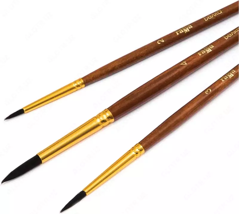  Художественный набор кистей Гамма  Белка № 2/3/4  3 шт.  блистер (Арт. - 280618.09.05) - 