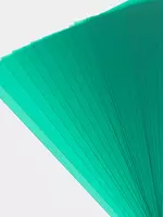   Набор пластиковых обложек для переплета Bindi 0.18 мм  180 мкм  А4  100 шт. (Арт.- 18100PVCgn) Зеленый