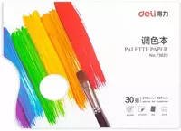 Бумажная палитра-альбом Deli  отрывная  30 листов   210 х 297 мм (Арт. - 73629)