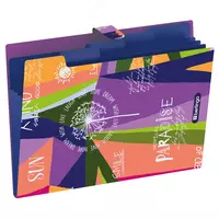 Папка - картотека Berlingo Jumble  5 отд.  А4  325 х 245 х 10 мм  600 мкм (Арт. - XF4_05S13) Цветная