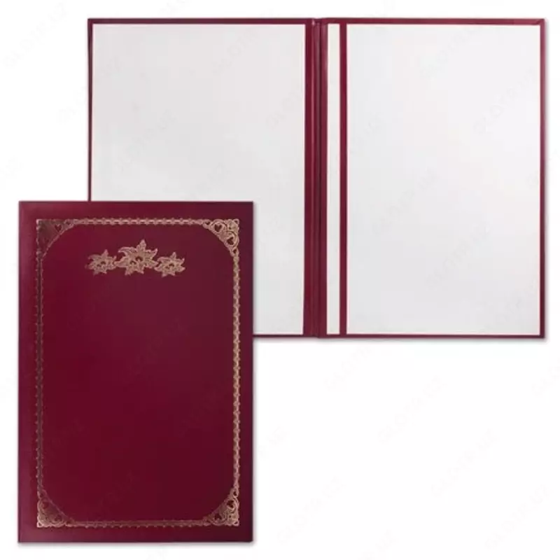 Manzil papkasi  A4 formati (assortiment)