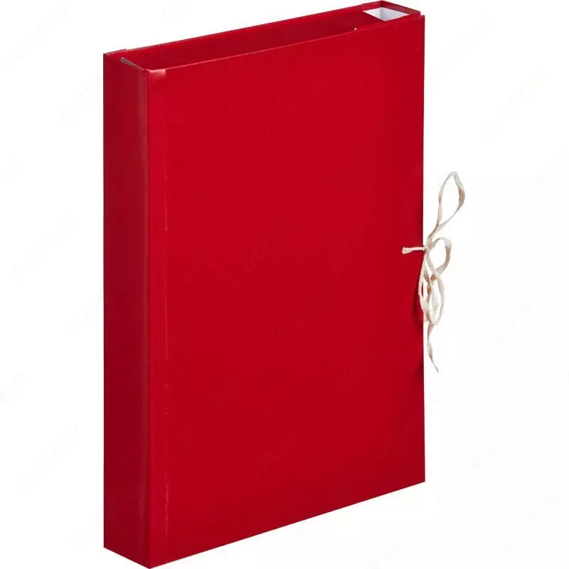  Arxiv papkasi  A4 format  10 sm  galstuk (assortiment) - 