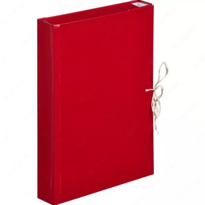 Архивная папка  формат А4  2 см  завязки (Ассортимент)