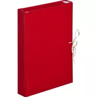 Архивная папка  формат А4  2 см  завязки (Ассортимент)