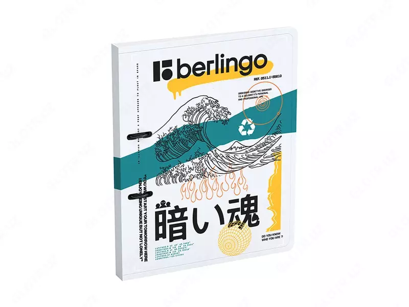 Пластиковая папка для документов Berlingo Glyph  2 D-кольца.  24 мм  А4  600 мкм  внутр. карман (Арт. - RB4_2DS11) Цветная