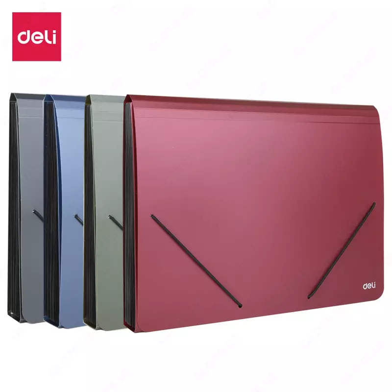 Пластиковая папка для документов Deli 12 отд.  А4  застежка - резинки (Арт.- 5551) Ассортимент