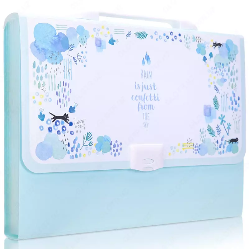 Пластиковая папка-портфель для документов Deli 13 отд.  А4  заст. замок (Арт.- 5873) Цв. ассорти