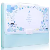 Пластиковая папка-портфель для документов Deli 13 отд.  А4  заст. замок (Арт.- 5873) Цв. ассорти