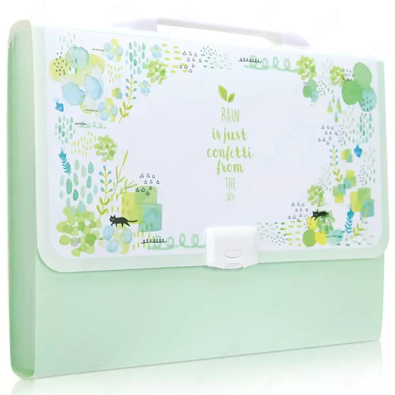  Пластиковая папка-портфель для документов Deli 13 отд.  А4  заст. замок (Арт.- 5876) Цв. ассорти - 