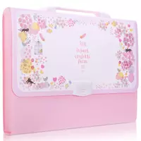 Пластиковая папка-портфель для документов Deli 13 отд.  А4  заст. замок (Арт.- 5876) Цв. ассорти