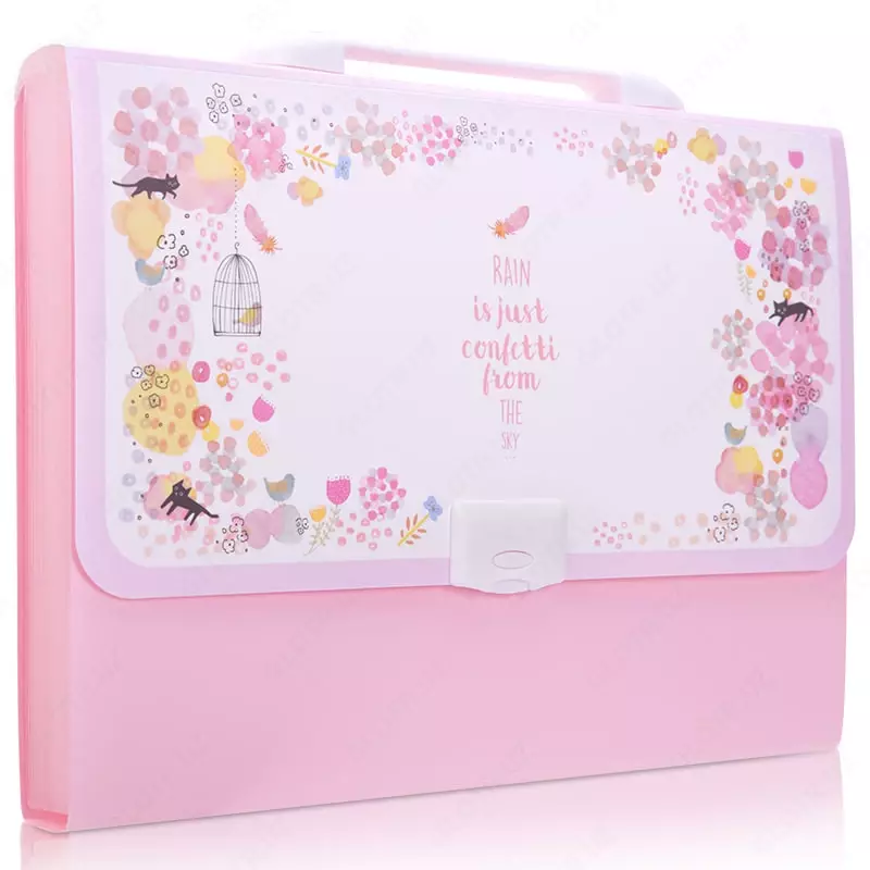 Пластиковая папка-портфель для документов Deli 13 отд.  А4  заст. замок (Арт.- 5876) Цв. ассорти