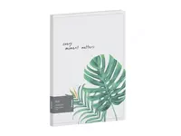 Berlingo Eko plastik hujjat papkasi  20 qoshimcha  A4  310 x 233 x 17 mm  600 mikron (Art. - DB4_20801)