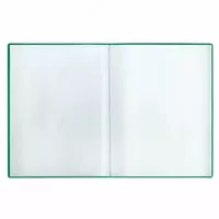  Пластиковая папка для документов Стамм 40 вклад.  А4  310 x 235 x 21 мм  500 мкм (Арт. - ММ-32206) Зеленая - 