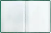  Hujjatlar uchun plastik papka Stamm 60 varaq  A4  310 x 235 x 21 mm  600 mikron (Art. - MM-32210) Yashil - 