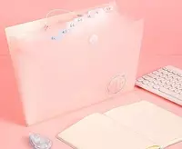   Пластиковая папка-картотека для документов Deli 8 отд.  330 х 250 мм  заст. резинка (Арт.- 307-PM) Ассортимент