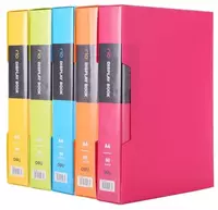 Пластиковая папка для документов Deli RIO  80 вклад.  А4  310 x 230 x 50 мм  500 мкм (Арт. - 5036) Цв. ассорти