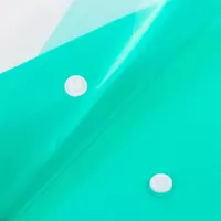   Папка - конверт Deli Aurora  пластиковая  1 отд.  А4  1 кнопка  180 мкм  100 л. (Арт. - 10452-EF) Зеленая