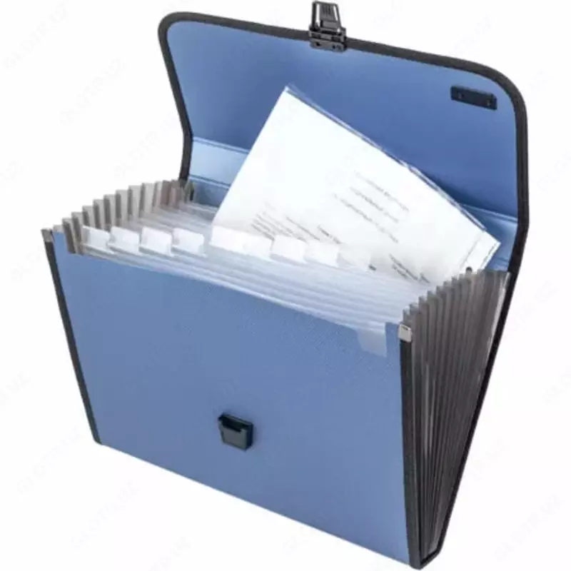   Пластиковая папка-портфель для документов Deli Extend  12 отд.  330 х 260 х 40 мм  заст. замок (Арт.- 5577) Ассортимент