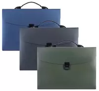 Plastik hujjat papkasi Deli Extend  12 bolim  330 x 260 x 40 mm  himoyalangan. qulf (Art. - 5557) Assortiment