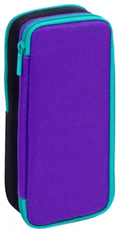  Школьный пенал Berlingo Pegas  2 отд  205 х 80 х 55 мм  полиэстер  магнитн. фиксатор (Арт. - PM09044) - 