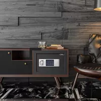  Ofis raqamli seyfi Deli 250 x 350 x 250 mm  kod  3 murvat (Art. - 92620) Qora Chakana savdo