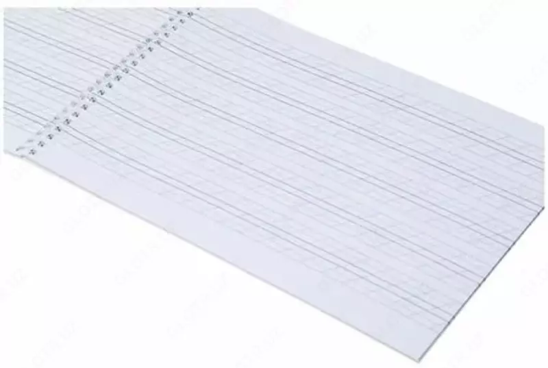  Скетчбук-тетрадь для каллиграфии и леттеринга Hatber Искусство красивого письма  А4  30 л  100 г/м2  гребень (Арт. - 30Тп4тВ5гр_22372) - 