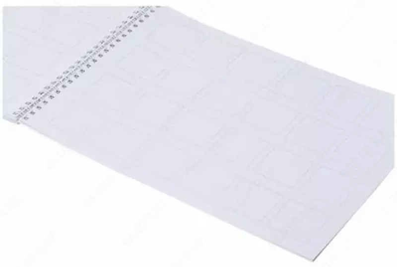   Скетчбук-тетрадь для каллиграфии и леттеринга Hatber Искусство красивого письма  А4  30 л  100 г/м2  гребень (Арт. - 30Тп4тВ5гр_22372)