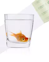   Yopishqoq ish yuritish lentasi Deli 48 mm x 100 m  bir tomonlama. (m. - 30205) Shaffof