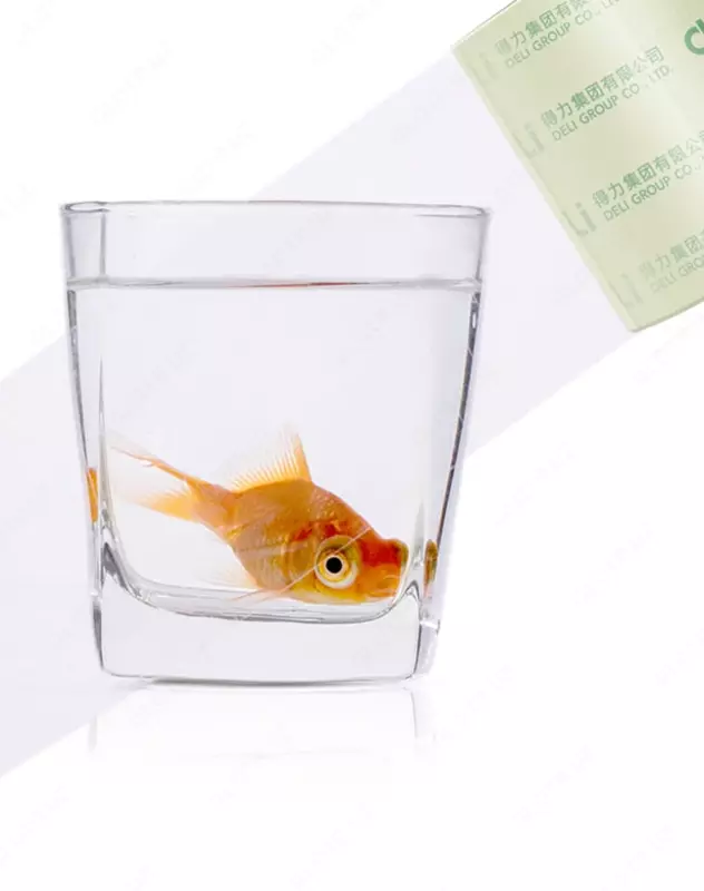   Yopishqoq ish yuritish lentasi Deli 48 mm x 100 m  bir tomonlama. (m. - 30205) Shaffof