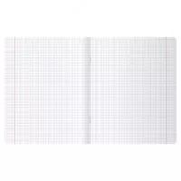  Школьная тетрадь (клетка) BG UniTone. Neon  48 л  65 г/м2  А5  пласт. обложка (Арт. - Т5ск48_пл_12471) Неоновый салатовый - 