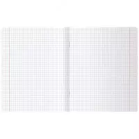  Школьная тетрадь (клетка) BG Easy peasy  48 л  70 г/м2  А5 (Арт. - Т5ск48_лм_10565) Цв. ассорти - 