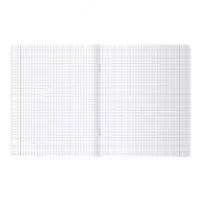  Школьная тетрадь (клетка) BG Super Mix-20  48 л  65 г/м2  А5 (Арт. - Т5ск48_10406) Цв. ассорти - 