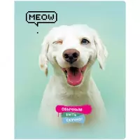   Школьная тетрадь (клетка) BG Super Mix-20  48 л  65 г/м2  А5 (Арт. - Т5ск48_10406) Цв. ассорти