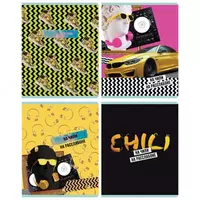 Школьная тетрадь (клетка) BG На расслабоне (эконом)  48 л  60 г/м2  А5 (Арт. - Т5ск48_10796) Цв. ассорти