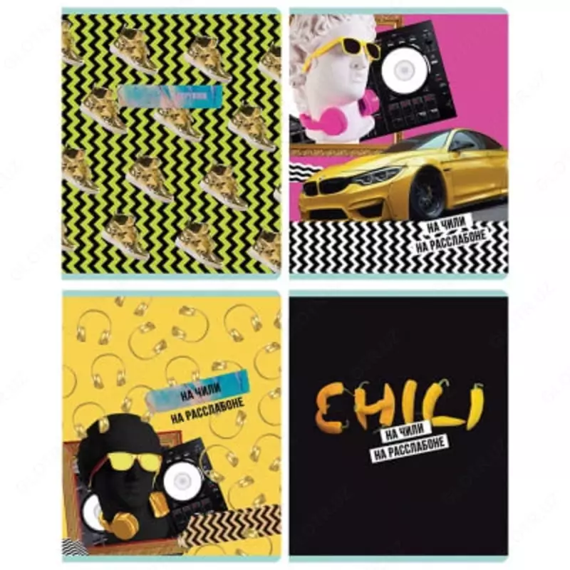 Школьная тетрадь (клетка) BG На расслабоне (эконом)  48 л  60 г/м2  А5 (Арт. - Т5ск48_10796) Цв. ассорти