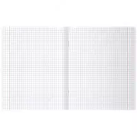  Maktab daftarchasi (katakli) BG Tiktokda (iqtisod)  48 l  60 g/m2  A5 (Art. - T5sk48_10028) Kol. turli xil - 