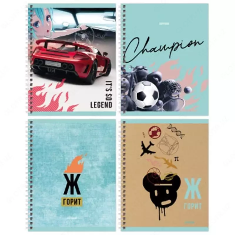 Школьная тетрадь (клетка) BG Пошла жара  48 л  60 г/м2  А5  на гребне (Арт. - Т5гр48_11048) Цв. ассорти