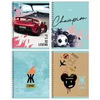 Школьная тетрадь (клетка) BG Пошла жара  48 л  60 г/м2  А5  на гребне (Арт. - Т5гр48_11048) Цв. ассорти