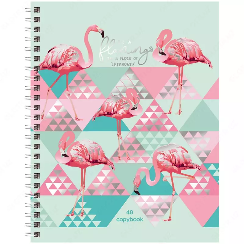   Школьная тетрадь (клетка) BG Розовое чудо  48 л  60 г/м2  А5  на гребне (Арт. - Т5гр48_тгф_8445) Цв. ассорти