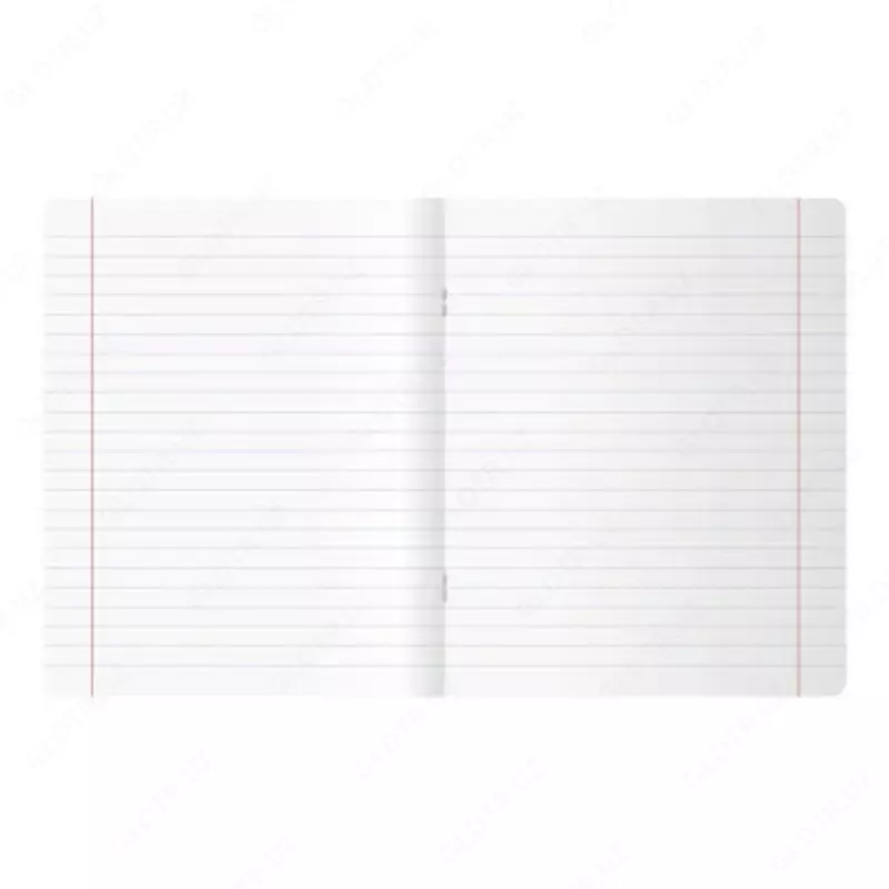  Maktab daftarchasi (chiziq) BG Yoruglik oqimi  48 l  65 g / m2  A5 (Art. - T5sk48_lg_11076) Kol. turli xil - 