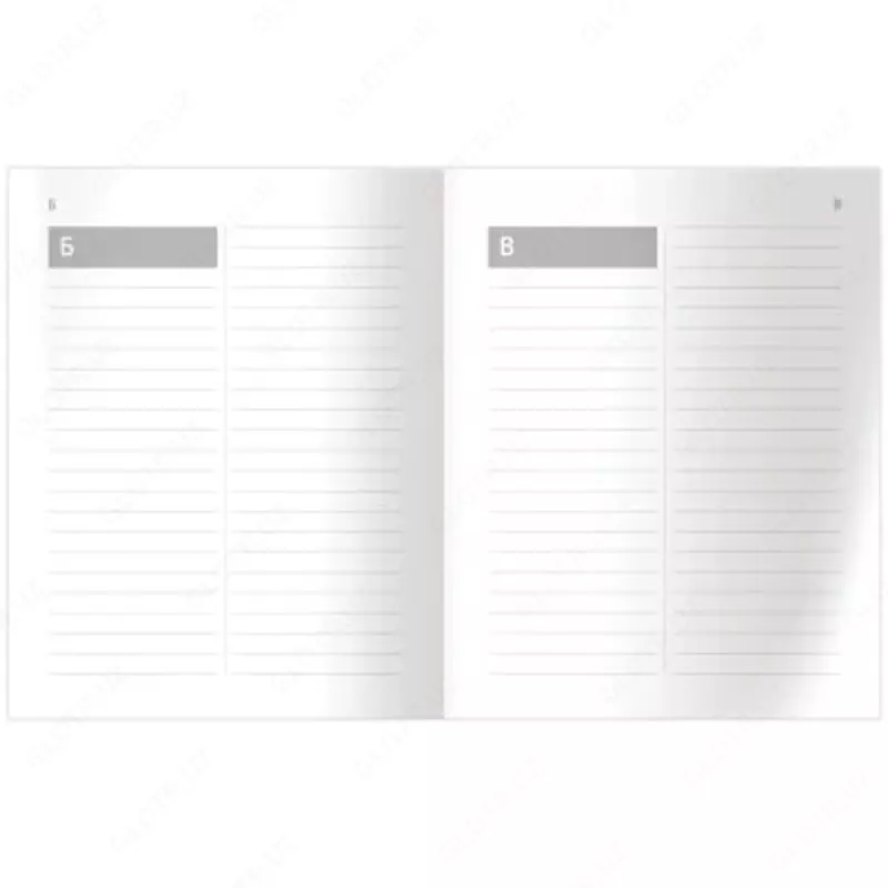  Тетрадь-словарь для записи сложных словарных слов BG Запиши и запомни  16 л  60 г/м2  А5 (Арт. - ТС5ск32_11044) Цв. ассорти - 