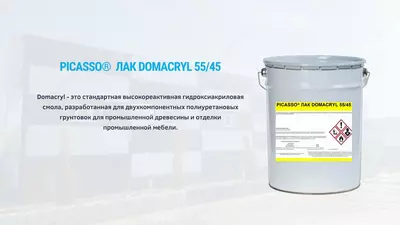 ЛАК DOMACRYL 55/45