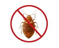 Уничтожение клопов (дезинсекция 3 комнат)