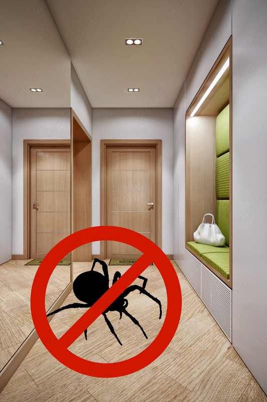 Уничтожение пауков (дезинсекция 2 комнат)